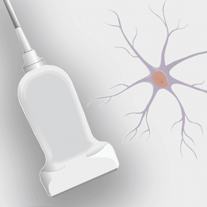 An Ultrasound Insight into the Peripheral Nervous System